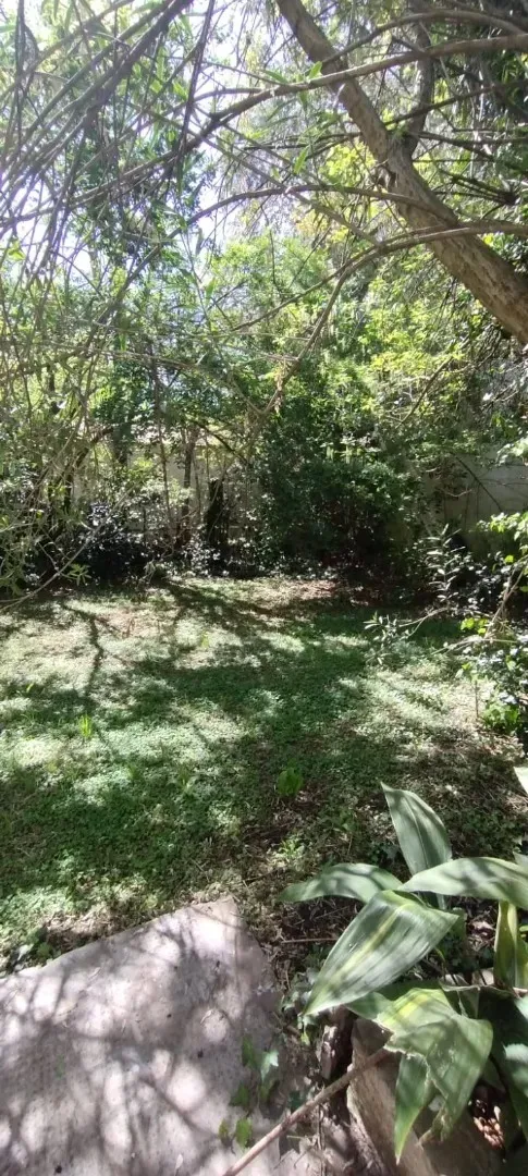 Imagen 8 de la propiedad