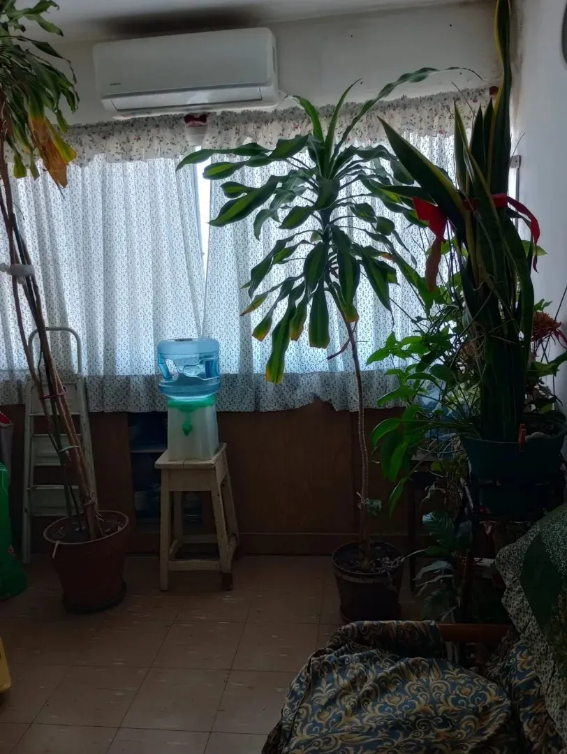 Imagen 4 de la propiedad