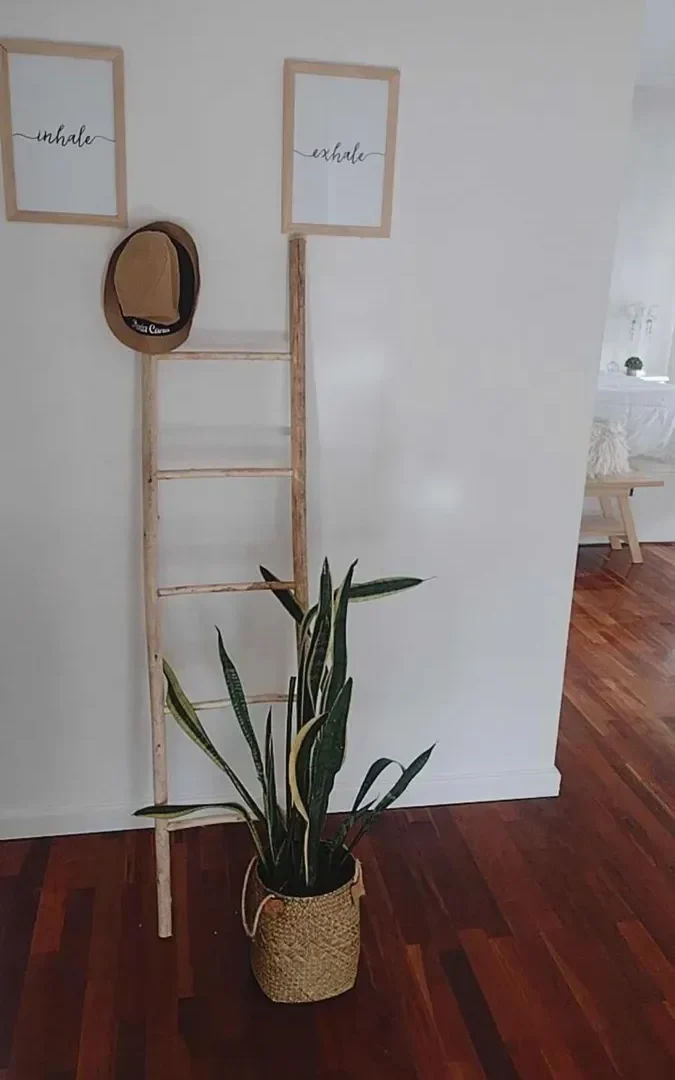 Imagen 12 de la propiedad