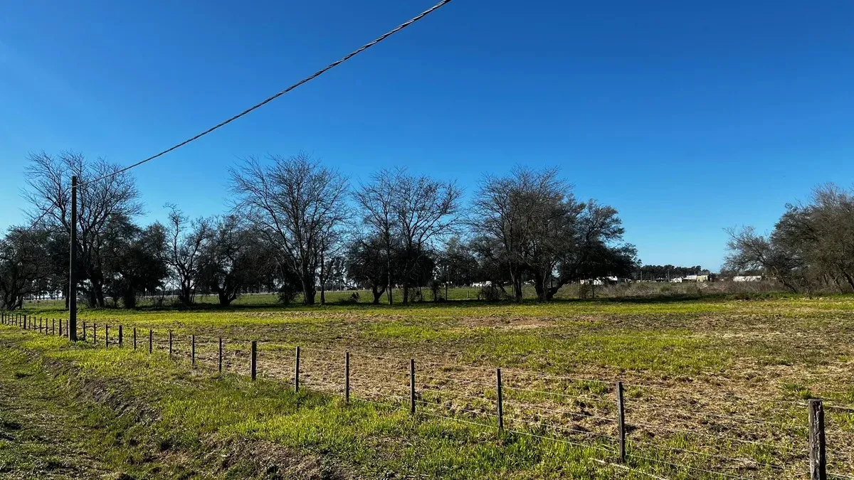 Imagen 2 de la propiedad