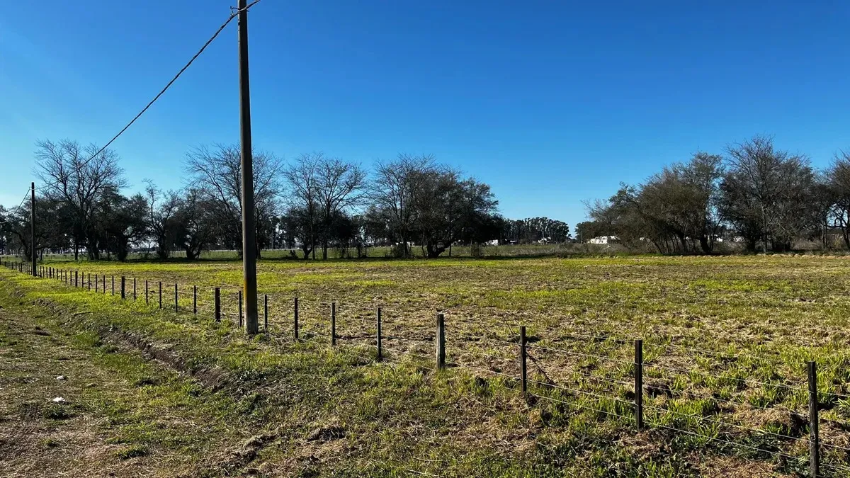 Imagen 4 de la propiedad