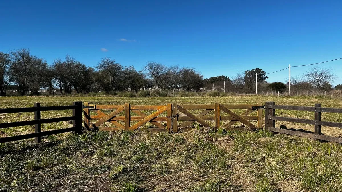 Imagen 5 de la propiedad