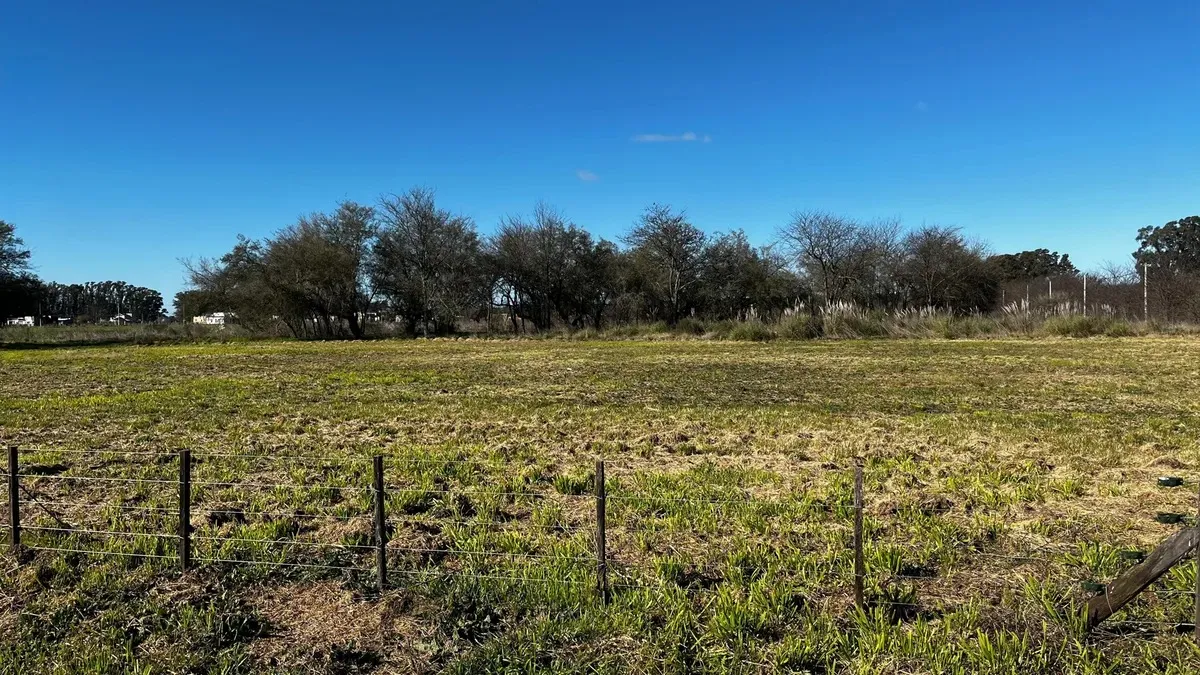 Imagen 6 de la propiedad