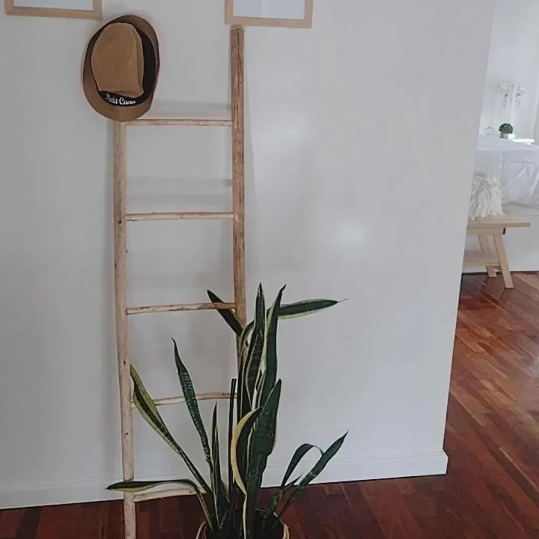 Imagen 33 de la propiedad