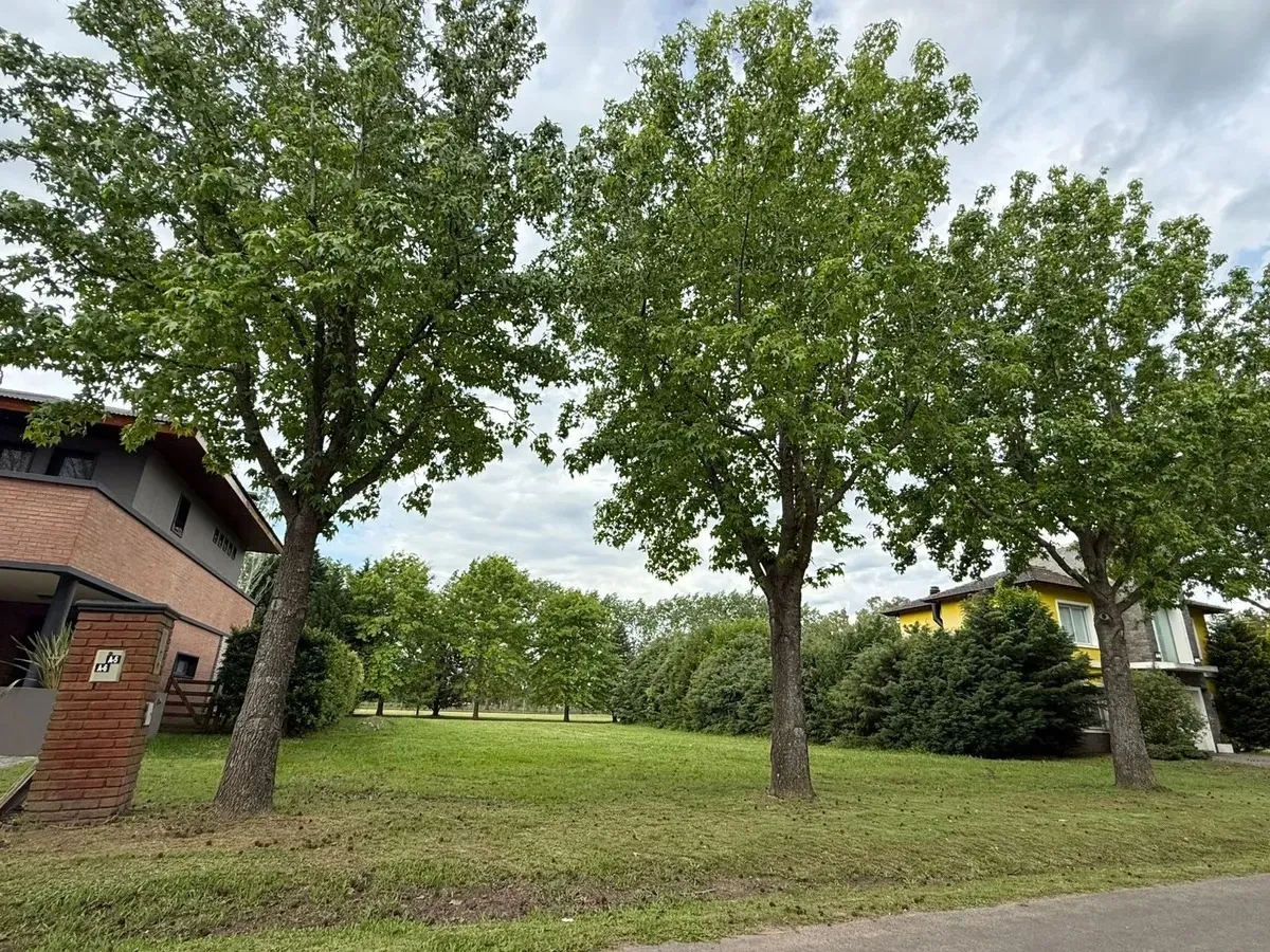 Imagen 5 de la propiedad