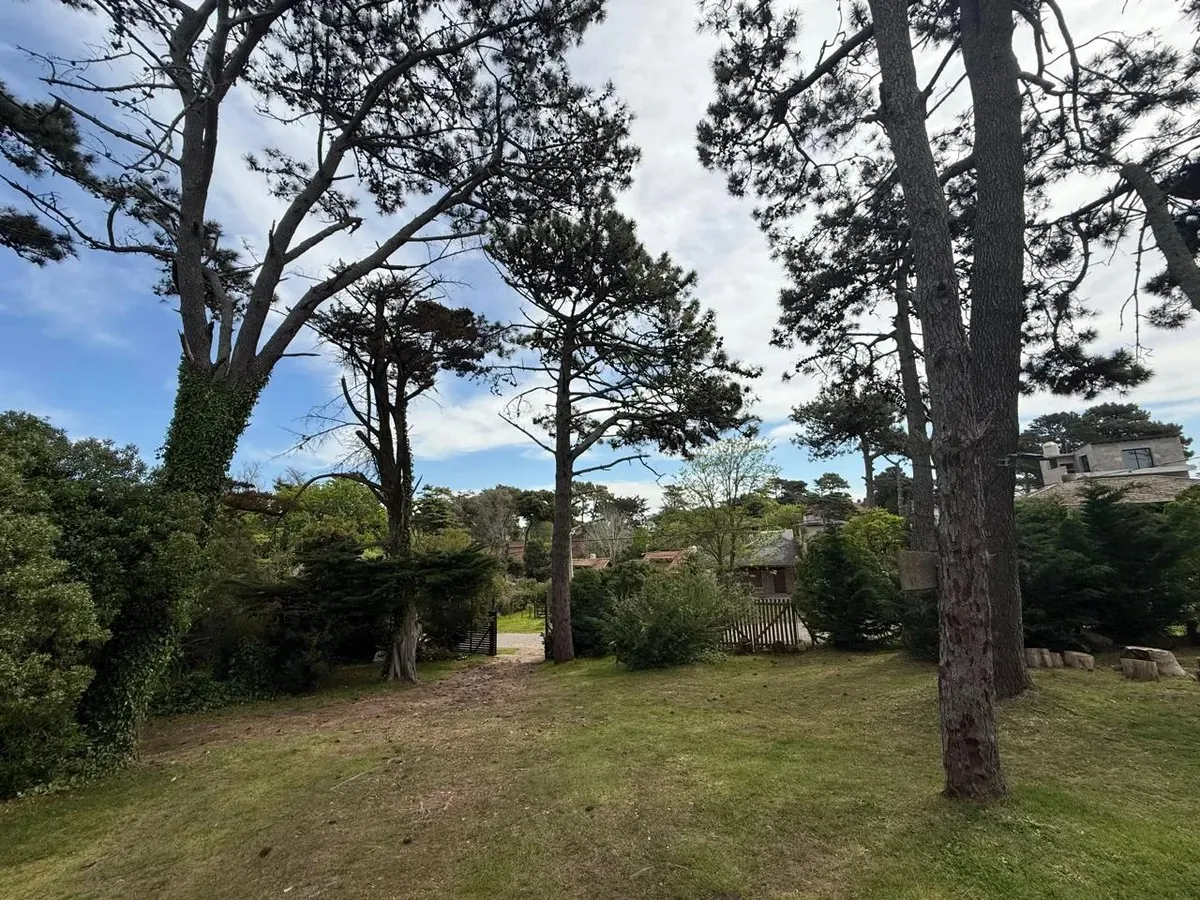 Imagen 6 de la propiedad