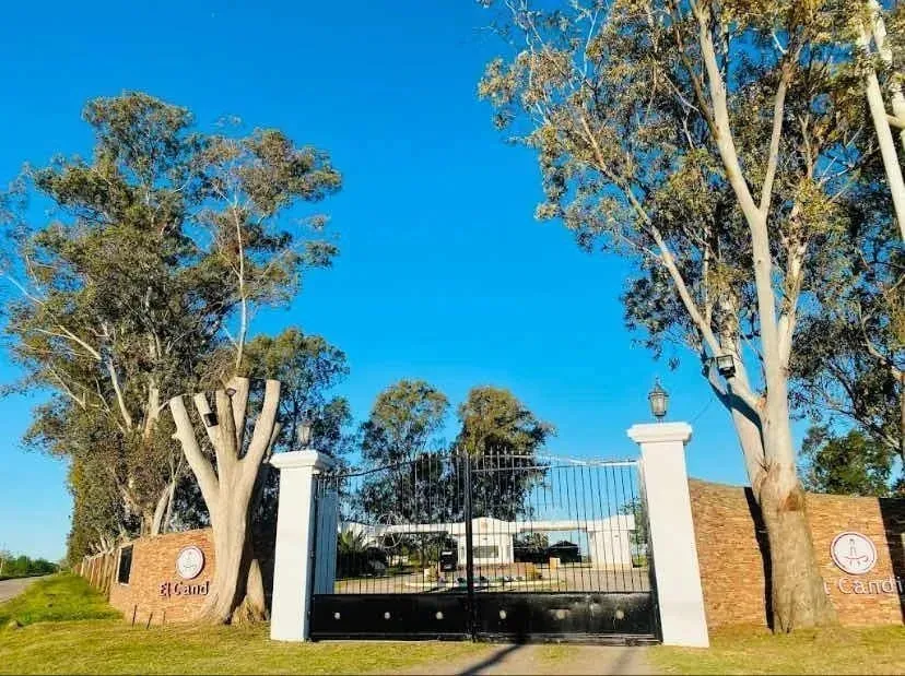 Imagen 3 de la propiedad