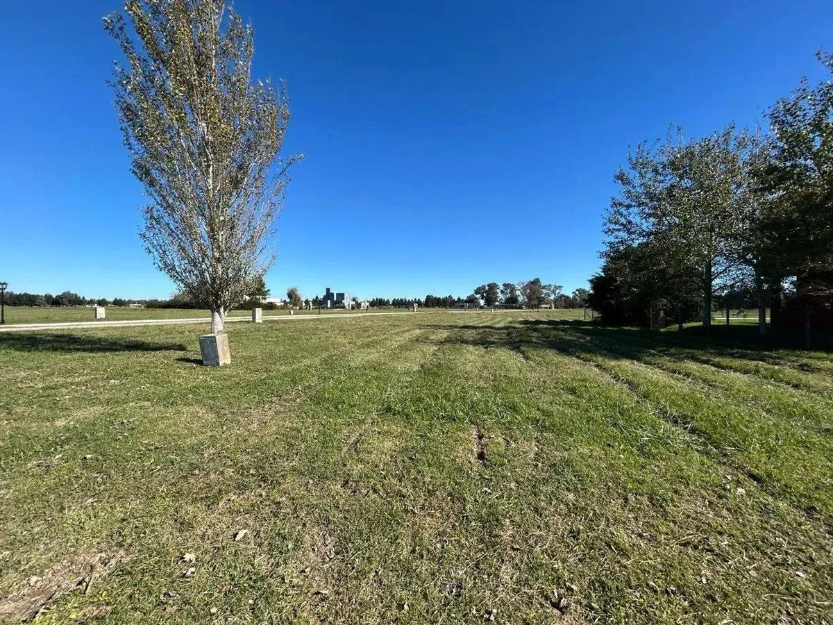 Imagen 10 de la propiedad