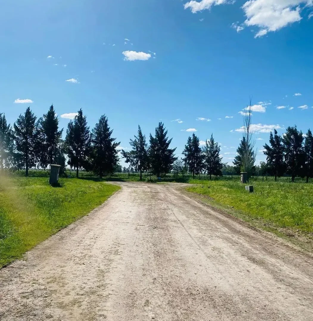 Imagen 8 de la propiedad