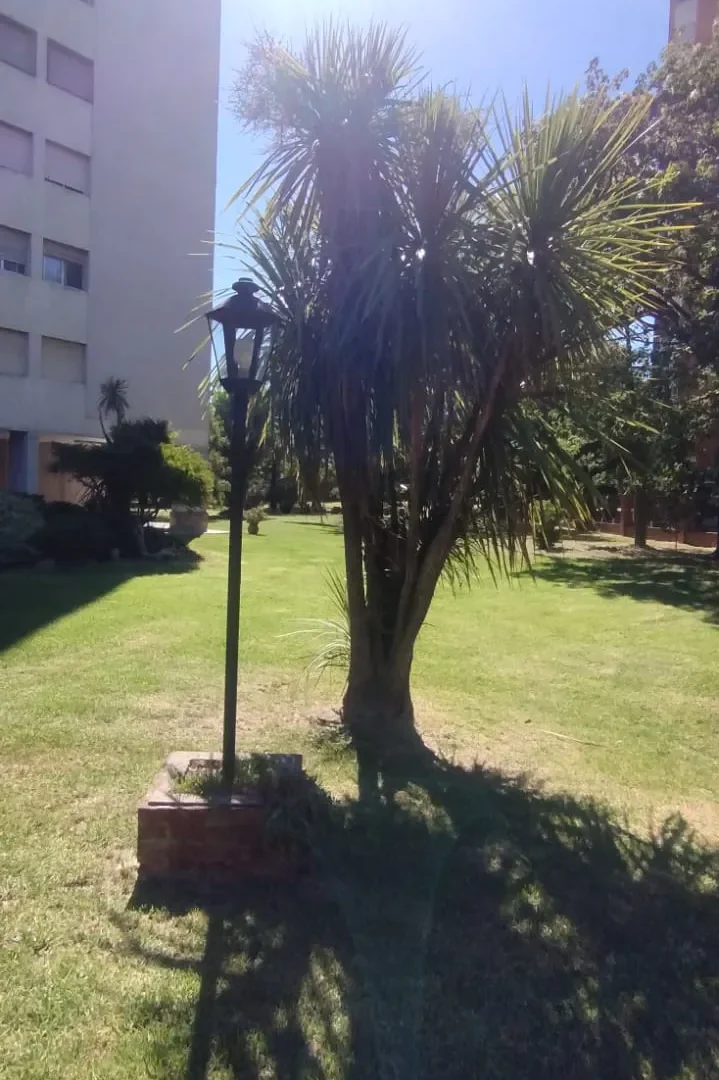 Imagen 7 de la propiedad