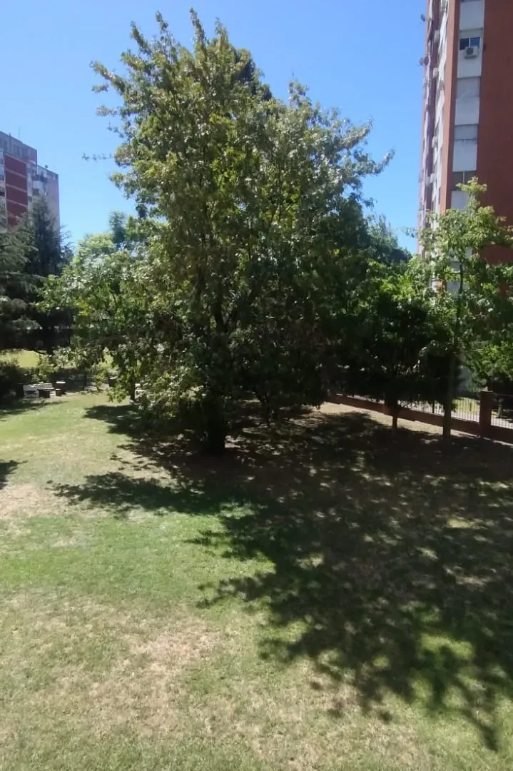 Imagen 9 de la propiedad